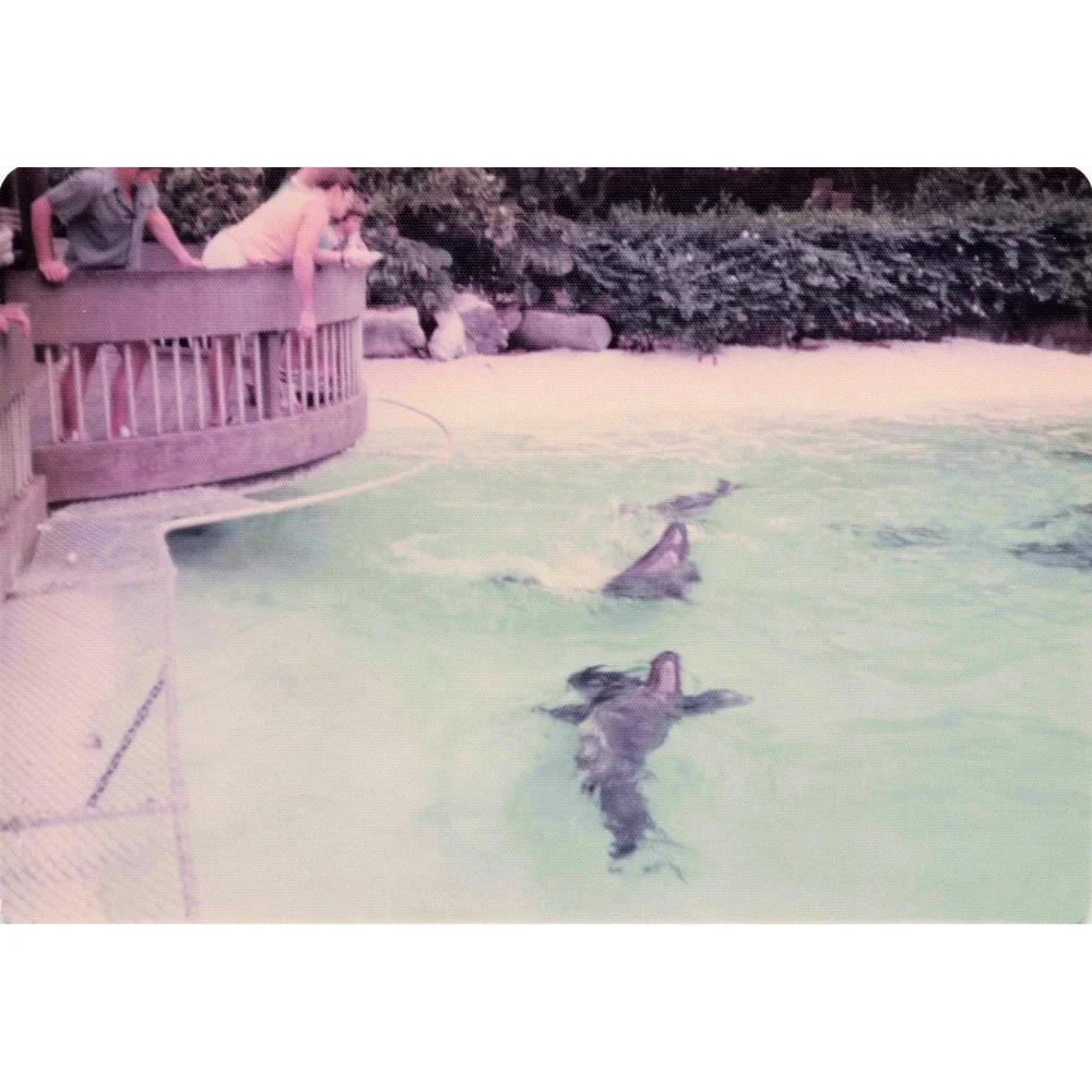 Vintage 1970s Sea Life Park Hawaii Dolphin Show Tall Ship Photo Lot of 17 - Picture 3 of 16